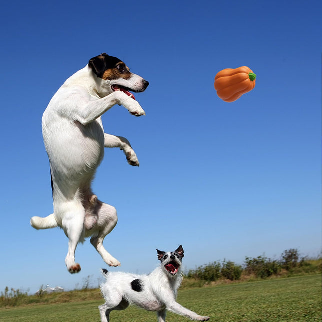 BluBrk Halloween Dog Toys for Aggressive Chewers - Tough Squeaky Pumpkin Chew Toys for Large Dogs Interactive Indoor & Outdoor Toy