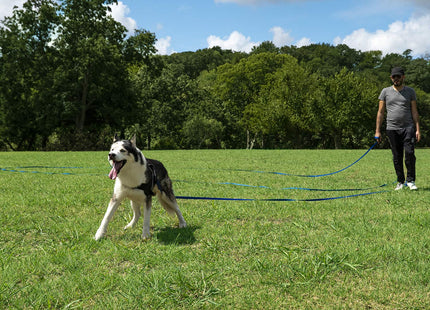30 ft Nylon Long Line | Recall & Distance Dog Training Leash