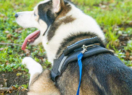 30 ft Nylon Long Line | Recall & Distance Dog Training Leash