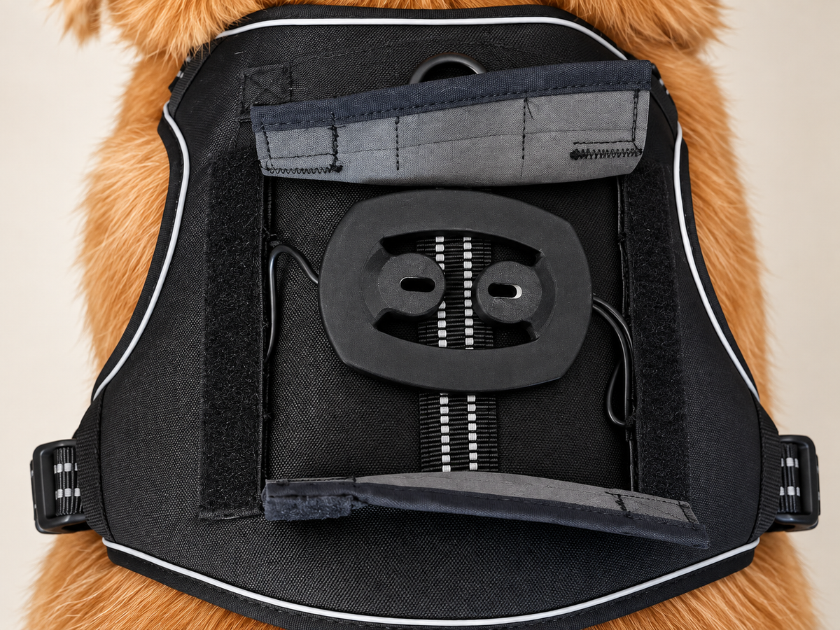 Close-up of the Relay Harness dorsal receiver mounting interface.