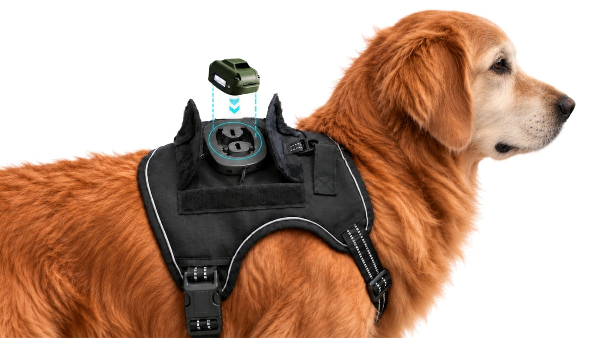 Receiver mounted on the Relay Harness