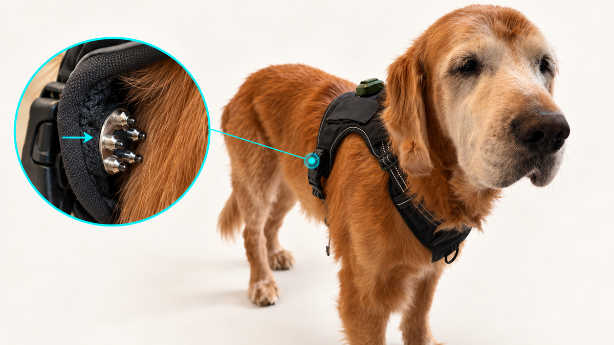 Inward-facing contact assemblies on the sides of the harness