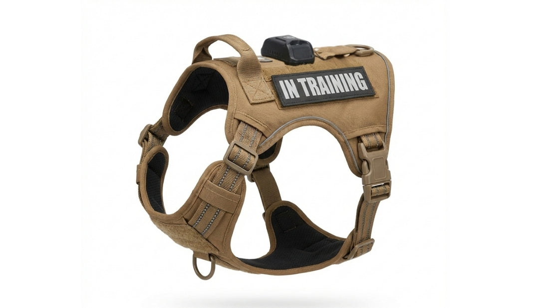 Relay Harness