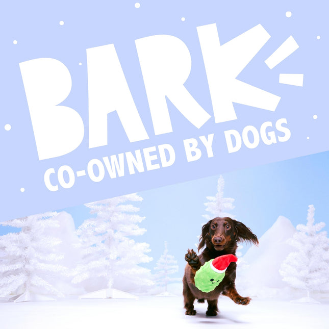 Barkbox Dog Advent Calendar – Holiday Gift Box with 8 Festive Plush Dog Toys & 16 Bakery-Style Treats – Squeaky, Fluffy & Crunchy Surprises for Small to Large Dogs