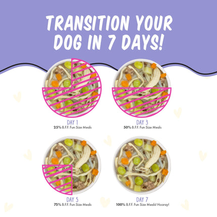 B.F.F. Best Fido Friend Fun Size Meal Variety Pack, Natural Wet Dog Food Cups by Weruva