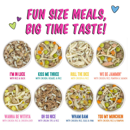 B.F.F. Best Fido Friend Fun Size Meal Variety Pack, Natural Wet Dog Food Cups by Weruva