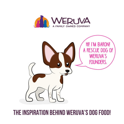 B.F.F. Best Fido Friend Fun Size Meal Variety Pack, Natural Wet Dog Food Cups by Weruva