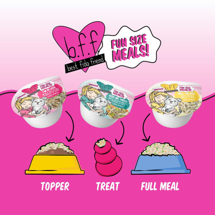 B.F.F. Best Fido Friend Fun Size Meal Variety Pack, Natural Wet Dog Food Cups by Weruva