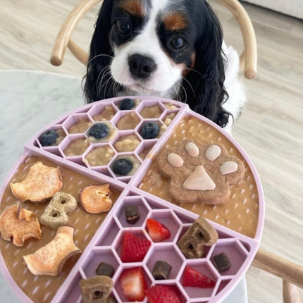 BUDDY BUDDER Pumpkin Pup + Ruff Ruff Raw Red Dog Enrichment Mat Combo, 100% All Natural Peanut Butter, Healthy Dog Treats, Made in USA (Set of 2 / 17oz Jars + Lickmat)