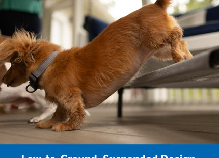 Coolaroo Pro Elevated Dog Bed with HeatShield Fabric