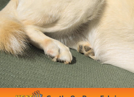 Coolaroo Pro Elevated Dog Bed with HeatShield Fabric