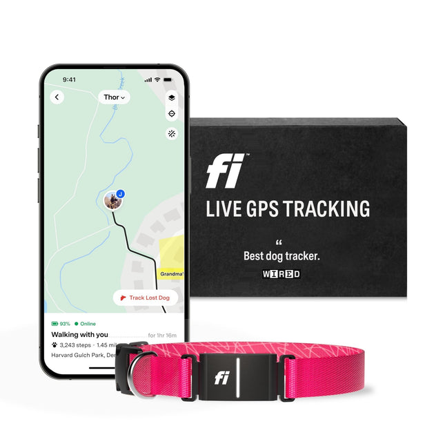 Fi