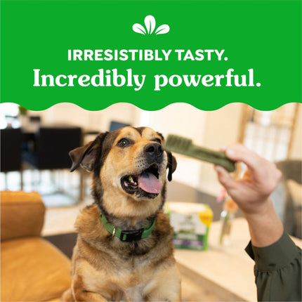 Greenies Large Dental Dog Treats, Sweet Potato Flavor, 36 oz. Pack (24 Treats)