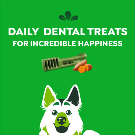 Greenies Large Dental Dog Treats, Sweet Potato Flavor, 36 oz. Pack (24 Treats)