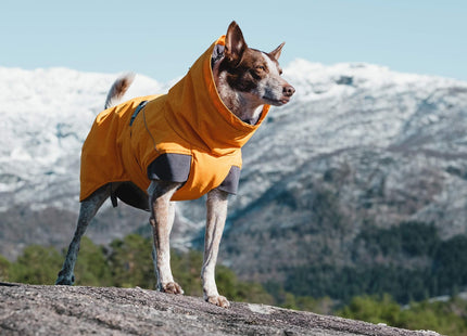 Hurtta Expedition Parka, Winter Dog Coat, Buckthorn, 12XL