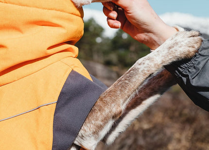 Hurtta Expedition Parka, Winter Dog Coat, Buckthorn, 12XL