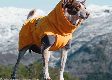 Hurtta Expedition Parka, Winter Dog Coat, Buckthorn, 12XL