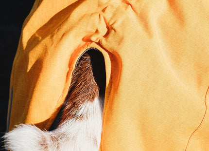 Hurtta Expedition Parka, Winter Dog Coat, Buckthorn, 12XL