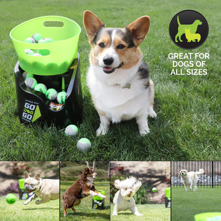 Hyper Pet GoDogGo Fetch Machine Dog Ball Launcher & Automatic Ball Launcher for Dogs With Five 2.5" Balls for Dogs 20-60 lbs.