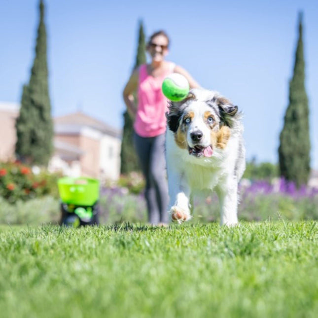 Hyper Pet GoDogGo Fetch Machine Dog Ball Launcher & Automatic Ball Launcher for Dogs With Five 2.5" Balls for Dogs 20-60 lbs.