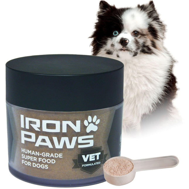 Iron Paws