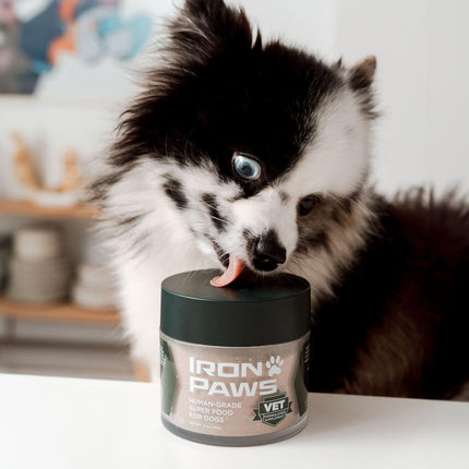 Iron Paws