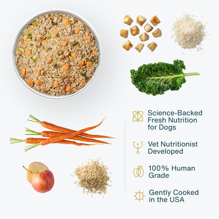 JustFoodForDogs Frozen Fresh Dog Food, Complete Meal or Topper, Chicken & Rice Human Grade Recipe, 18 oz (Pack of 7)