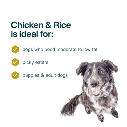 JustFoodForDogs Frozen Fresh Dog Food, Complete Meal or Topper, Chicken & Rice Human Grade Recipe, 18 oz (Pack of 7)