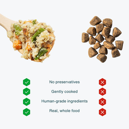 JustFoodForDogs Frozen Fresh Dog Food, Complete Meal or Topper, Chicken & Rice Human Grade Recipe, 18 oz (Pack of 7)