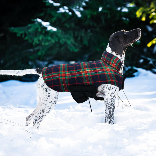 Kuoser Waterproof Dog Coat, Reversible Dog Jacket for Medium Dogs, Adjustable Durable Doggie Winter Coat Warm Puppy Cold Weather Apparel from Small to Large Breed, RoyalBlue M