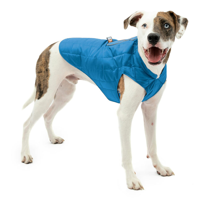 Kurgo Loft Dog Jacket