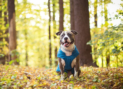 Kurgo Loft Dog Jacket