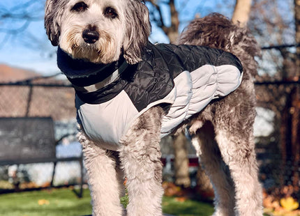 Lelepet Dog Coat Warm Dog Winter Coat