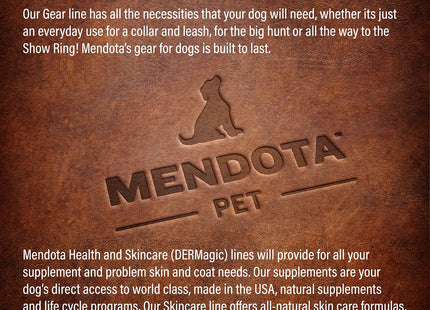 Mendota Pet Slip Leash - Dog Lead and Collar Combo