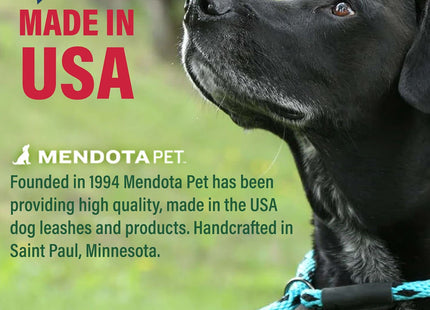 Mendota Pet Slip Leash - Dog Lead and Collar Combo