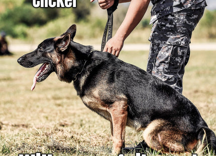 Mythrojan Brass and Steel Pet Training Clicker Dog Training Cricket Clicker U.S. Engraved WII Military Gear Metal Clicker