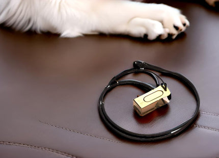 Mythrojan Brass and Steel Pet Training Clicker Dog Training Cricket Clicker U.S. Engraved WII Military Gear Metal Clicker