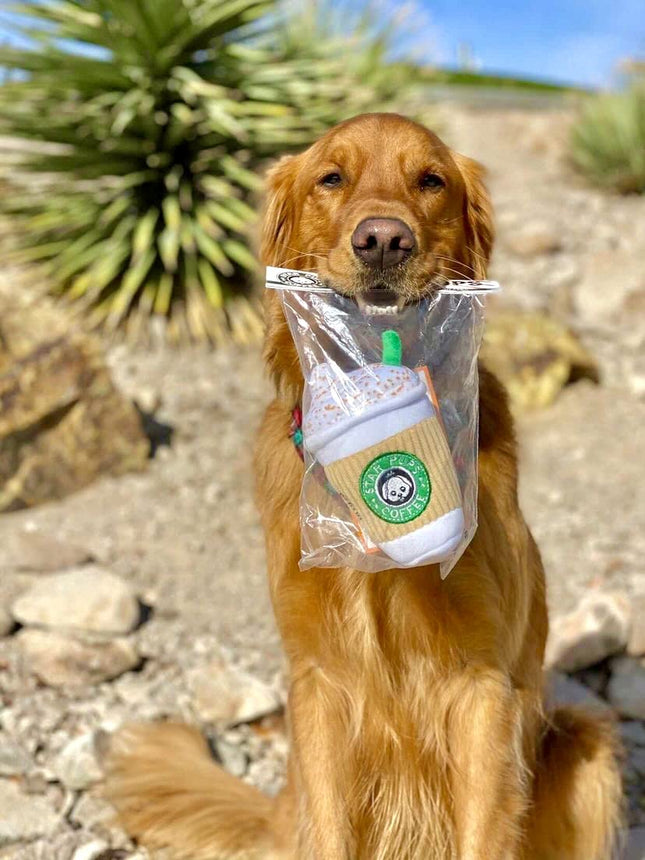 Nestpark Parody Star Pups Coffee Dog Toy Pup'kin Spice Latte - Funny Plush Squeaky Crinkle Dog Toys for Medium, Small and Large for Dog Birthday