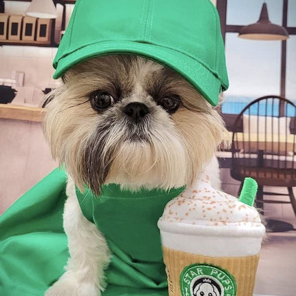 Nestpark Parody Star Pups Coffee Dog Toy Pup'kin Spice Latte - Funny Plush Squeaky Crinkle Dog Toys for Medium, Small and Large for Dog Birthday