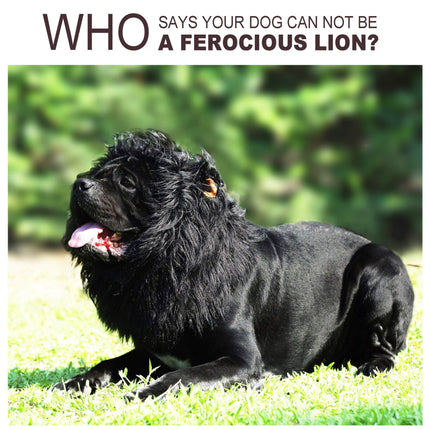 Onmygogo Lion Mane Wig for Dogs with Ears, Funny Pet Costumes for Halloween Christmas (Size L, Black)