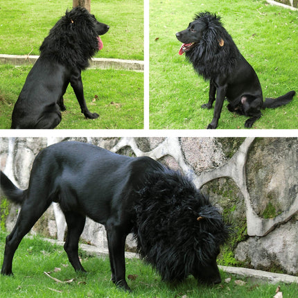 Onmygogo Lion Mane Wig for Dogs with Ears, Funny Pet Costumes for Halloween Christmas (Size L, Black)