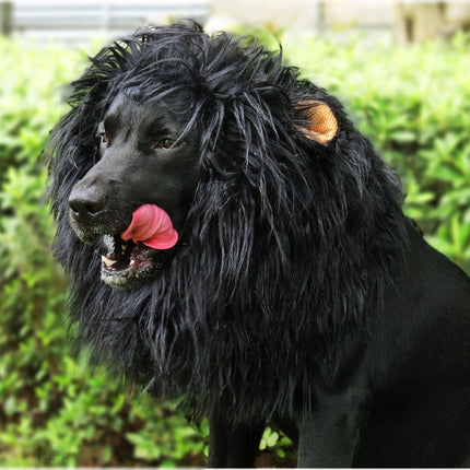 Onmygogo Lion Mane Wig for Dogs with Ears, Funny Pet Costumes for Halloween Christmas (Size L, Black)