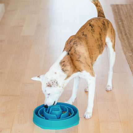 Outward Hound Fun Feeder Slo Bowl, Large Slow Feeder Dog Bowl, 4 Cups, Turquoise