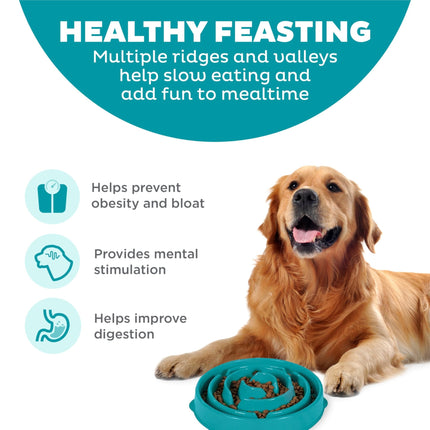 Outward Hound Fun Feeder Slo Bowl, Large Slow Feeder Dog Bowl, 4 Cups, Turquoise