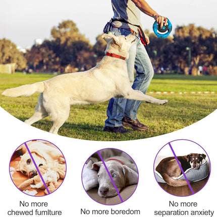 Pamlulu Chew Toys for Medium Large Breed, Tough Dog Toys for Aggressive Chewers, Indestructible Squeaky Dog Chew Toys to Keep Them Busy, Outdoor Puppy Toys Nylon&Rubber