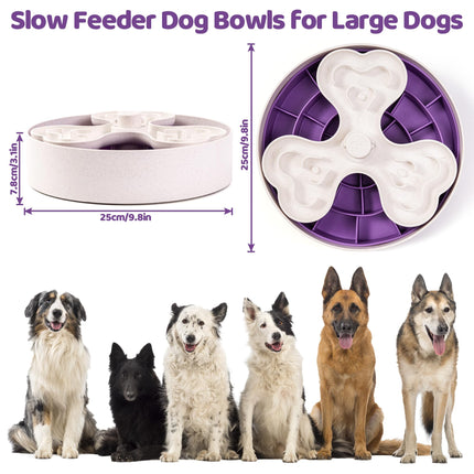 Puzzle Feeder