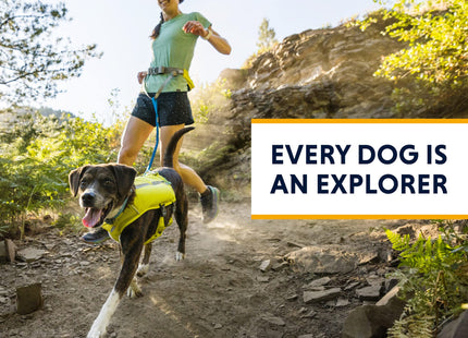 Ruffwear, Trail Runner Running Vest, Performance Dog Running Harness