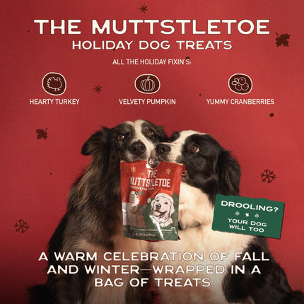 Smart Cookie Muttstletoe Holiday Dog Treats - Turkey, Pumpkin and Cranberry Christmas Dog Treats - Healthy, All Natural, Grain Free, Human-Grade - Made in USA - 8oz (3 Pack)