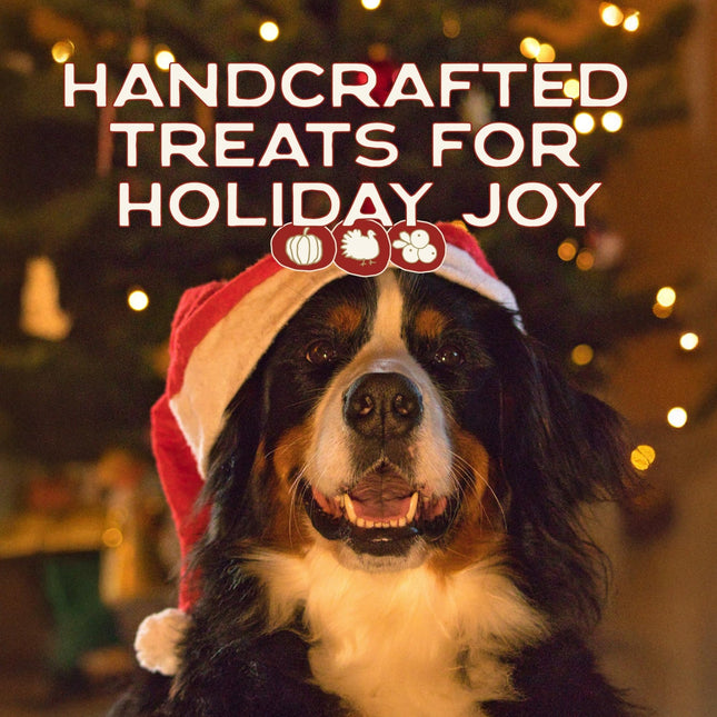Smart Cookie Muttstletoe Holiday Dog Treats - Turkey, Pumpkin and Cranberry Christmas Dog Treats - Healthy, All Natural, Grain Free, Human-Grade - Made in USA - 8oz (3 Pack)