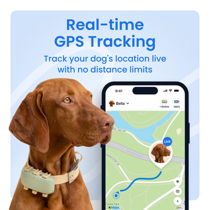 tractive